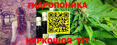 a pvp Партизанск