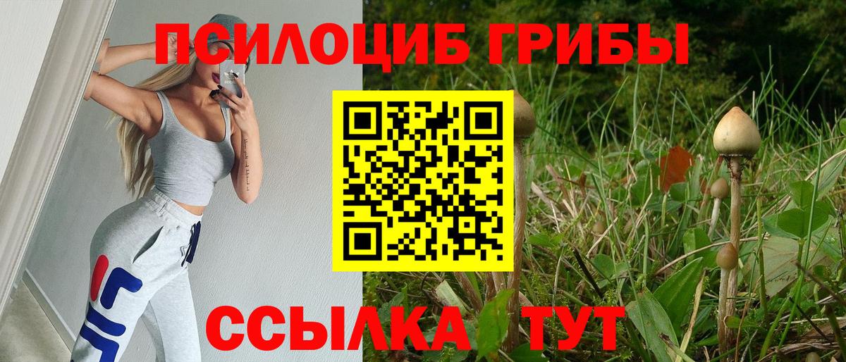 Галлюциногенные грибы ЛСД Сургут