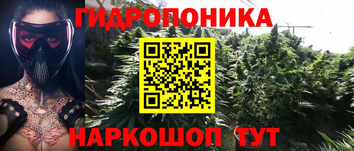 МАРИХУАНА MAZAR  Шишки марихуана MAZAR  Сургут  Канабис SATIVA & INDICA  Вход с VPN 